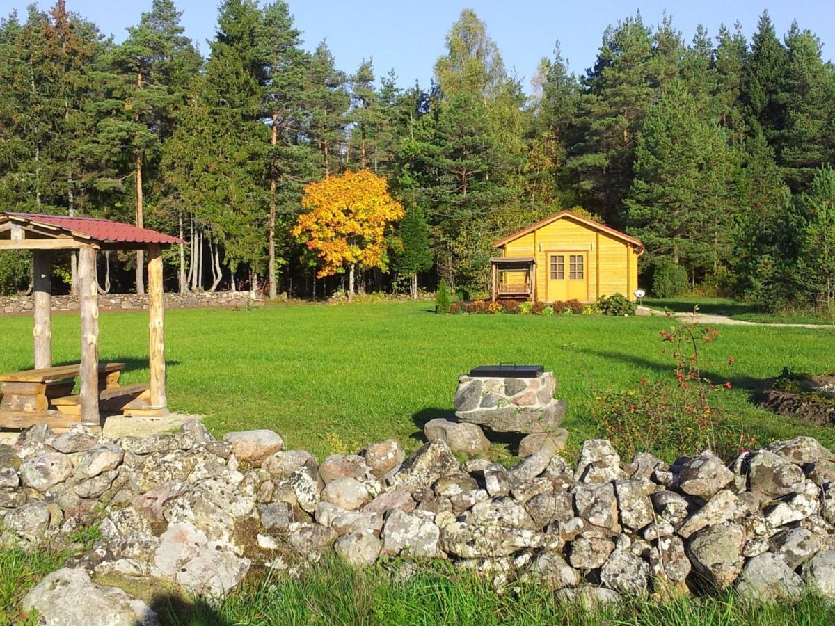 Maenniste Holiday Home Hiievalja Room photo